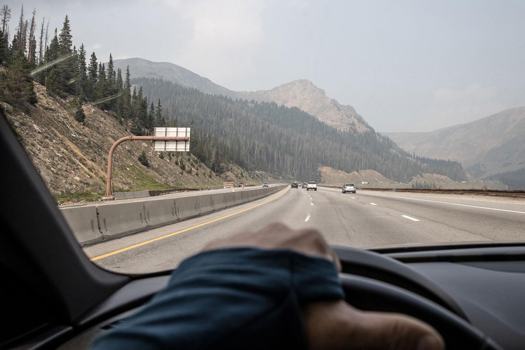 Mountain Pine Beetle-Damaged Forest, I-70, Eisenhower Pass • Colorado